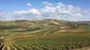 Antao Vaz - Arinto (Pederna)