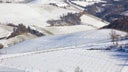 Barbera - Dolcetto - Nebbiolo