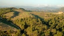 Cabernet - Carignan - Grenache