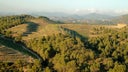 Cabernet - Carignan - Grenache