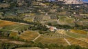 Cabernet - Sangiovese