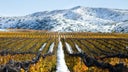 Cabernet Sauvignon - Malbec