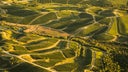 Cabernet - Tannat