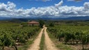 Cabernet - Tempranillo