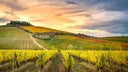 Chianti Blend