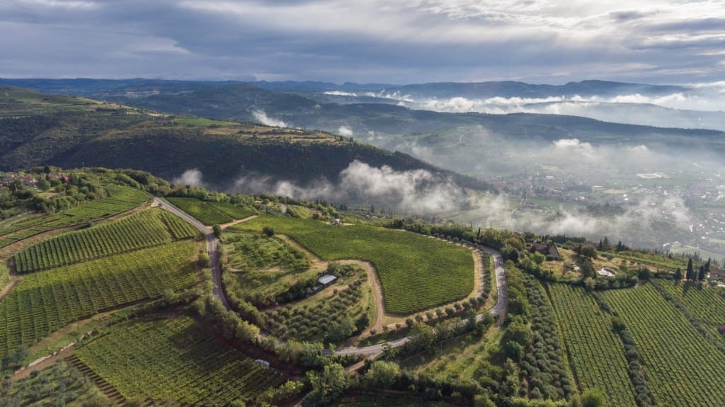 Allegrini La Grola Veronese IGT, Veneto, Italy | prices