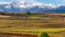 Rioja Red Blend
