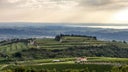 Soave Blend