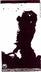 2nd label thumbnail of Sine Qua Non Eleven Confessions Vineyard Grenache