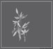 5th label thumbnail of Arnot-Roberts Trousseau