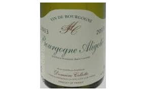 Click to see this product Label of Domaine Collotte Bourgogne Aligote