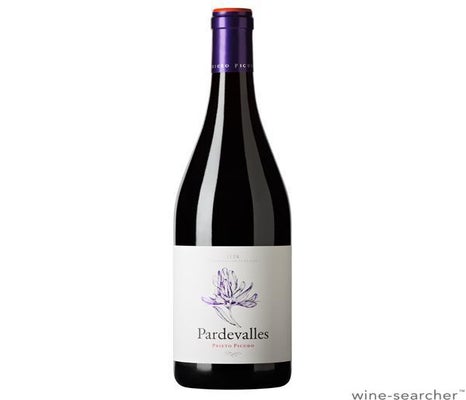 Label 1 of Vinedos y Bodega Pardevalles 'Pardevalles' Tinto