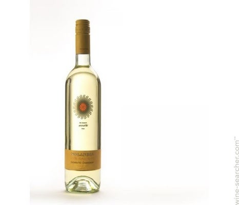 Label 1 of Solandia Catarratto - Chardonnay Sicilia IGT