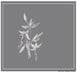 1st label thumbnail of Arnot-Roberts Trousseau