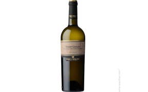 Click to see this product Label of Borgo Molino Pinot Grigio Venezia