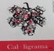 1st label thumbnail of Celler Aixala I Alcait 'Cal Ligrama' Rosat