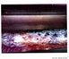 7th label thumbnail of Sine Qua Non Eleven Confessions Vineyard Grenache