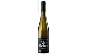 Click to see this product Label of Markus Schneider Alte Reben Riesling