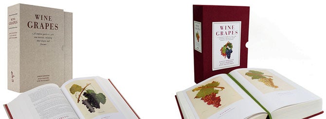 Q&A: Jancis Robinson, U.K. Wine Critic | Wine-Searcher News