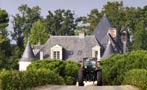 Read: The Curious Case of Haut-Brion