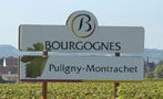 Read: Inside Burgundy