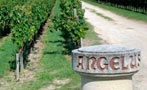 Read: French Wine Industry Announces Men of the Year