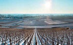 Read: Domaine Leflaive: The Jewel of Puligny-Montrachet