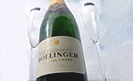 Read: 20 Questions With Bollinger's Top Dogs