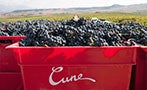 Read: 10 Things Every Wine Lover Should Know About CVNE
