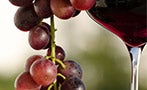 Read: Italy's Weird and Wonderful Wine Grapes