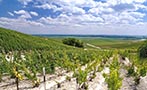 Read: Terroir Gives Champagne Its Soul