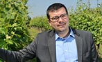 Read: Q&amp;A: Raffaele Boscaini of Valpolicella's Masi