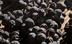 Read: What&#x27;s the Big Deal About Amarone?
