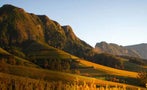 Read: South Africa's Thriving Fine Wine Scene