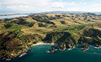 Read: Explore New Zealand in a Case