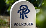 Read: The Busy Wine Lover's Guide to Pol Roger