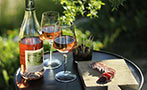 Read: The Last Ros&#xE9; of Summer