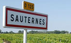 Read: Sauternes &#x2013; Next Stop, Disaster?