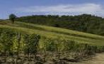 Read: Brunello From the Other Side