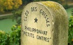 Read: The Busy Wine Lover&#x27;s Guide to Philipponnat