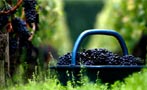 Read: Best-Value Wines in Bordeaux