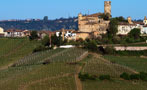 Read: 2013 Barolo Vintage One for the Ages