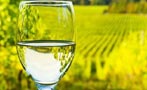 Read: The Most Wanted Sauvignon Blancs