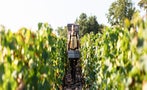 Read: Picking Winners from 2020 Bordeaux