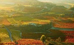 Read: The World's Best Value Rioja