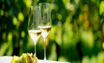 Read: The World's Most Expensive Sauvignon Blancs