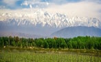 Read: The World's Most Expensive Argentinian Wines
