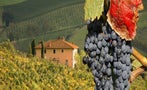 Read: The World's Most Expensive Italian Wines