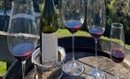 Read: The Importance of the Right Wine Glass