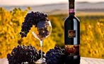 Read: The Most Wanted Italian Wines